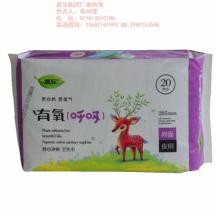 郯城縣安潔衛(wèi)生用品廠 專(zhuān)注于女性健康與衛(wèi)生用品領(lǐng)域的專(zhuān)業(yè)制造商